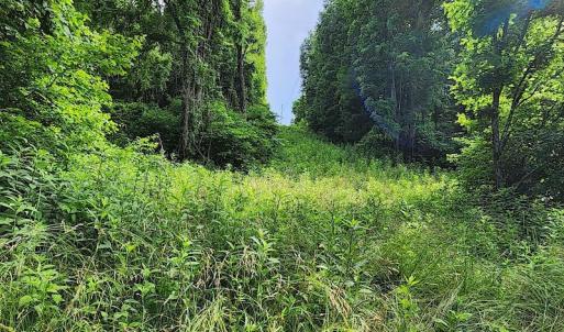 Photo #11 of SOLD property in 715 White Rock Gap Rd, Covington, VA 43.4 acres