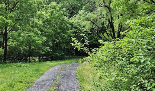 Photo #14 of SOLD property in 715 White Rock Gap Rd, Covington, VA 43.4 acres