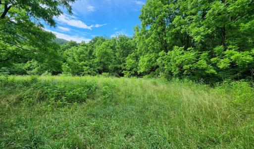 Photo #2 of SOLD property in 715 White Rock Gap Rd, Covington, VA 43.4 acres