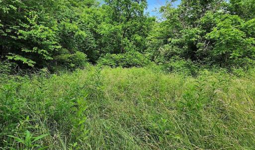 Photo #6 of SOLD property in 715 White Rock Gap Rd, Covington, VA 43.4 acres