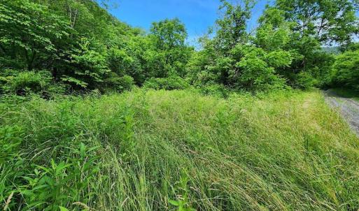 Photo #8 of SOLD property in 715 White Rock Gap Rd, Covington, VA 43.4 acres