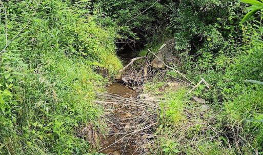 Photo #15 of SOLD property in 715 White Rock Gap Rd, Covington, VA 43.4 acres
