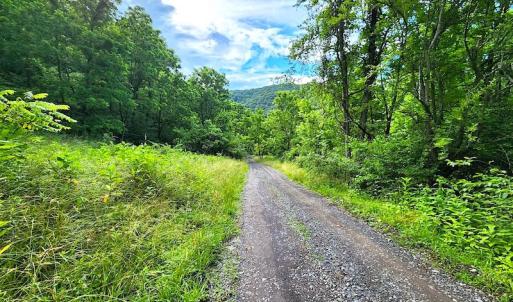 Photo #16 of SOLD property in 715 White Rock Gap Rd, Covington, VA 43.4 acres