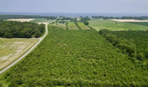 Photo #2 of SOLD property in Off Holly Neck Rd, Roper, NC 23.1 acres