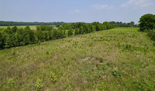 Photo #11 of SOLD property in Off Holly Neck Rd, Roper, NC 23.1 acres