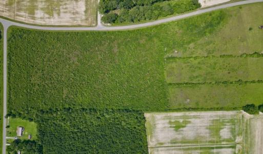 Photo #13 of Off Holly Neck Rd, Roper, NC 23.1 acres
