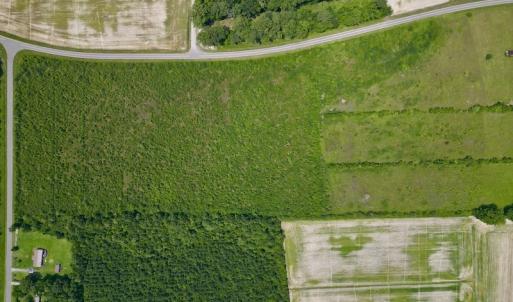 Photo #13 of SOLD property in Off Holly Neck Rd, Roper, NC 23.1 acres