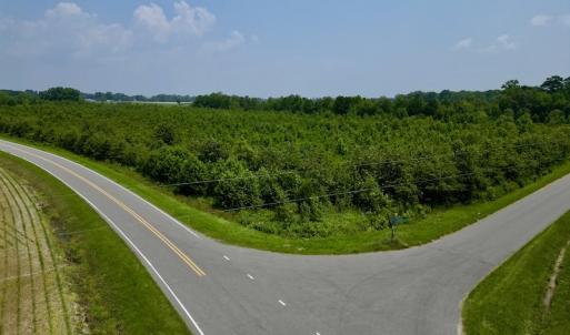 Photo #14 of SOLD property in Off Holly Neck Rd, Roper, NC 23.1 acres