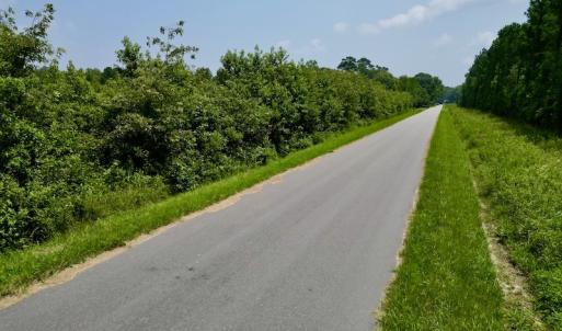 Photo #15 of SOLD property in Off Holly Neck Rd, Roper, NC 23.1 acres