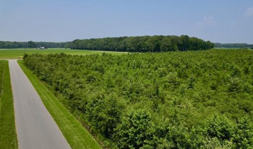 Photo #16 of SOLD property in Off Holly Neck Rd, Roper, NC 23.1 acres