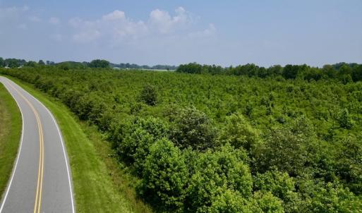 Photo #17 of SOLD property in Off Holly Neck Rd, Roper, NC 23.1 acres