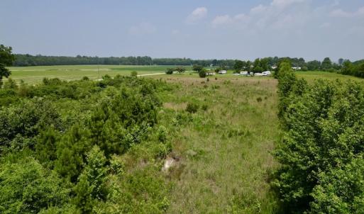 Photo #19 of SOLD property in Off Holly Neck Rd, Roper, NC 23.1 acres