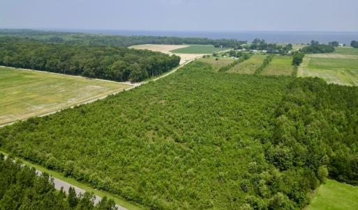 Photo #3 of SOLD property in Off Holly Neck Rd, Roper, NC 23.1 acres