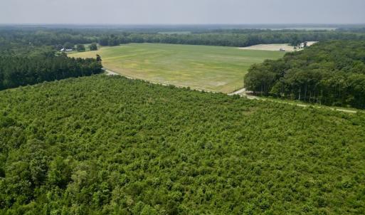 Photo #4 of SOLD property in Off Holly Neck Rd, Roper, NC 23.1 acres