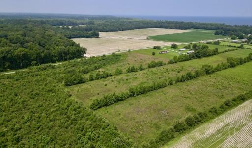 Photo #5 of SOLD property in Off Holly Neck Rd, Roper, NC 23.1 acres