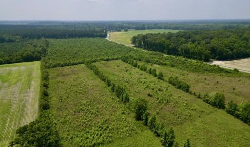 Photo #6 of SOLD property in Off Holly Neck Rd, Roper, NC 23.1 acres