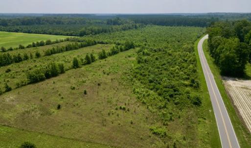 Photo #8 of Off Holly Neck Rd, Roper, NC 23.1 acres