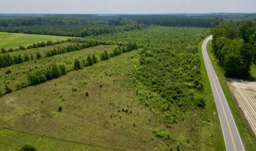 Photo #8 of SOLD property in Off Holly Neck Rd, Roper, NC 23.1 acres
