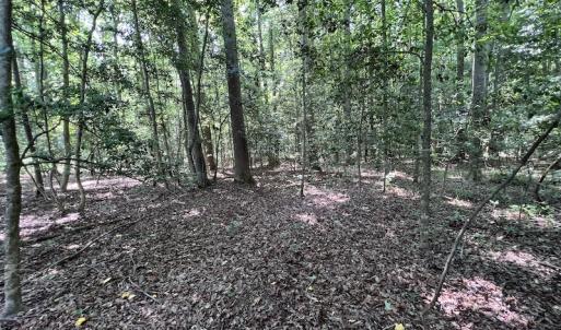 Photo #4 of Off Airport Blvd, Wilson, NC 17.8 acres