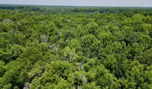 Photo #12 of SOLD property in Off Trey Rd, Wilson, NC 29.9 acres