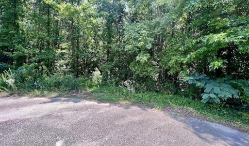 Photo #15 of SOLD property in Off Trey Rd, Wilson, NC 29.9 acres