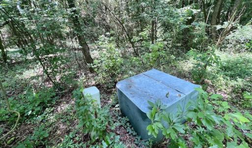 Photo #4 of SOLD property in Off Trey Rd, Wilson, NC 29.9 acres