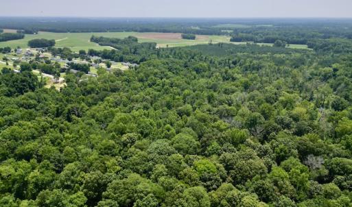 Photo #6 of SOLD property in Off Trey Rd, Wilson, NC 29.9 acres