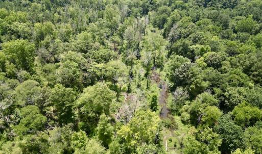 Photo #7 of SOLD property in Off Trey Rd, Wilson, NC 29.9 acres