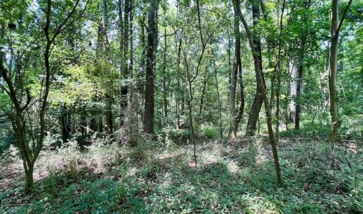 Photo #8 of SOLD property in Off Trey Rd, Wilson, NC 29.9 acres