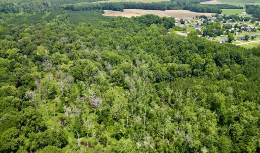 Photo #10 of SOLD property in Off Trey Rd, Wilson, NC 29.9 acres