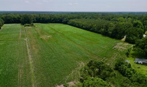 Photo #2 of SOLD property in Off Highway 33, Chocowinity, NC 169.5 acres