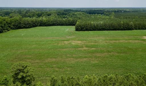 Photo #11 of SOLD property in Off Highway 33, Chocowinity, NC 169.5 acres