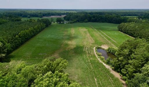 Photo #12 of SOLD property in Off Highway 33, Chocowinity, NC 169.5 acres