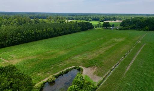 Photo #13 of SOLD property in Off Highway 33, Chocowinity, NC 169.5 acres