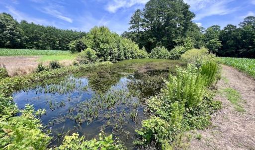 Photo #17 of SOLD property in Off Highway 33, Chocowinity, NC 169.5 acres