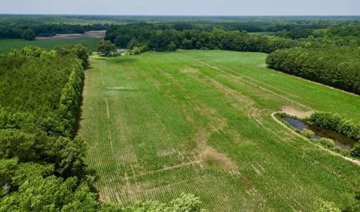 Photo #4 of SOLD property in Off Highway 33, Chocowinity, NC 169.5 acres