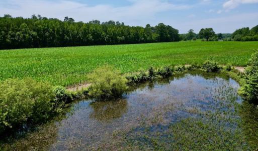 Photo #5 of SOLD property in Off Highway 33, Chocowinity, NC 169.5 acres