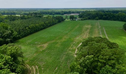 Photo #6 of SOLD property in Off Highway 33, Chocowinity, NC 169.5 acres
