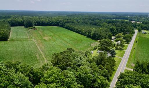Photo #8 of SOLD property in Off Highway 33, Chocowinity, NC 169.5 acres