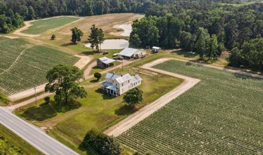 Photo #11 of 1416 NC Hwy 45 S, Windsor, NC 169.6 acres