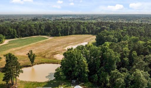 Photo #12 of 1416 NC Hwy 45 S, Windsor, NC 169.6 acres