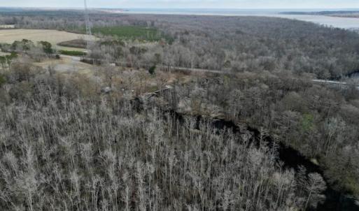 Photo #16 of 1416 NC Hwy 45 S, Windsor, NC 169.6 acres