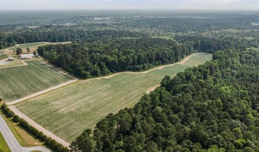 Photo #24 of 1416 NC Hwy 45 S, Windsor, NC 169.6 acres