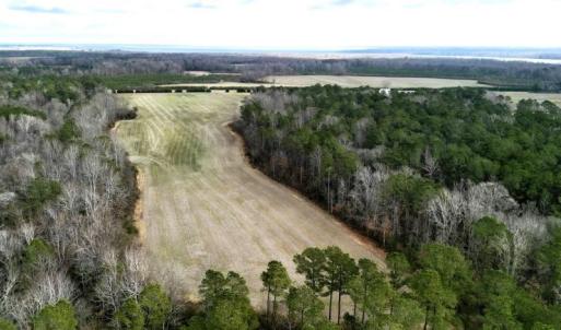Photo #25 of 1416 NC Hwy 45 S, Windsor, NC 169.6 acres