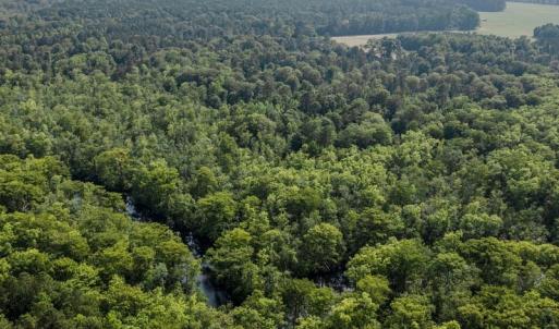 Photo #28 of 1416 NC Hwy 45 S, Windsor, NC 169.6 acres