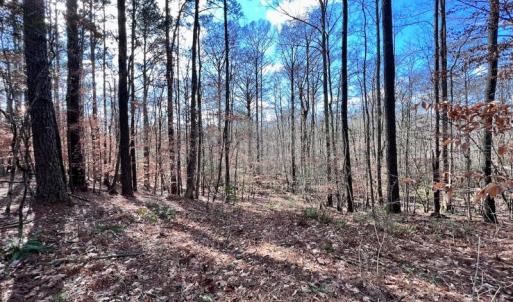 Photo #43 of 1416 NC Hwy 45 S, Windsor, NC 169.6 acres
