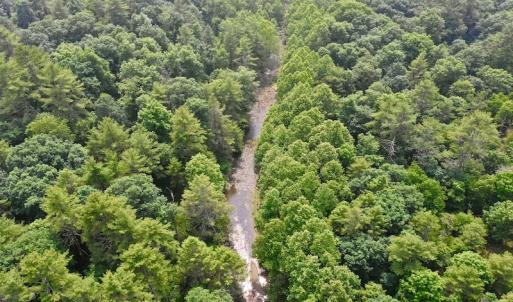 Photo #9 of SOLD property in 3598 Lower Fork Rd, Williamsville, VA 22.2 acres