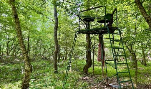 Photo #46 of SOLD property in 3598 Lower Fork Rd, Williamsville, VA 22.2 acres