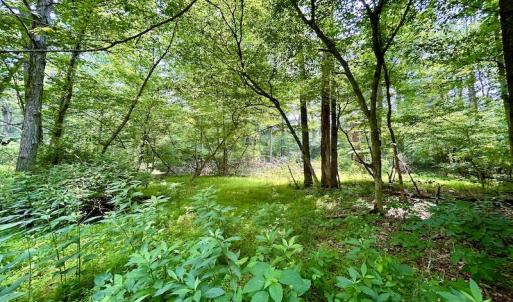 Photo #47 of SOLD property in 3598 Lower Fork Rd, Williamsville, VA 22.2 acres