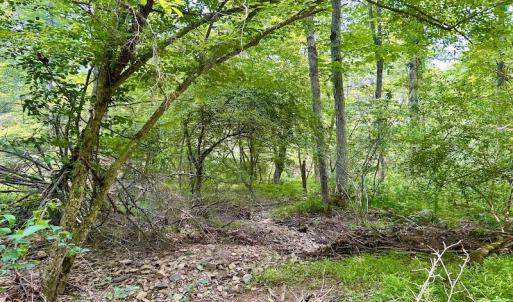 Photo #48 of SOLD property in 3598 Lower Fork Rd, Williamsville, VA 22.2 acres